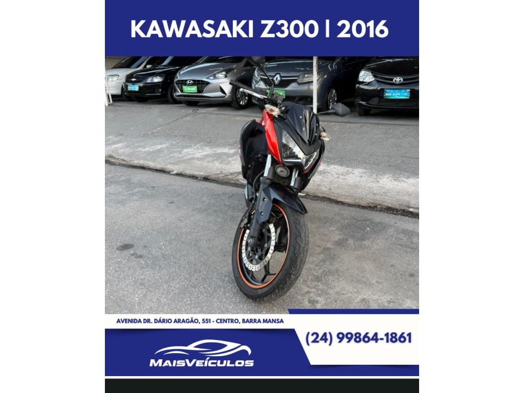 KAWASAKI Z300 Z300 2016