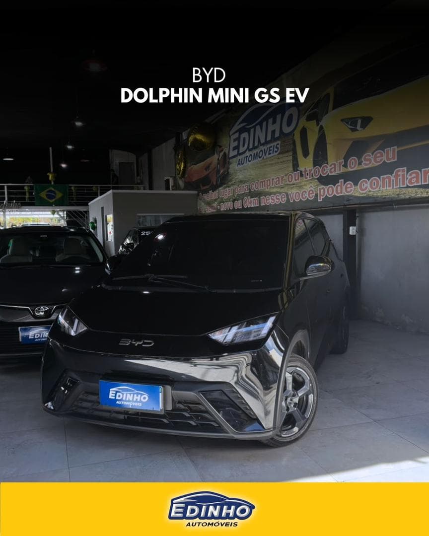 BYD DOLPHIN MINI GS EV 2025 foto 2
