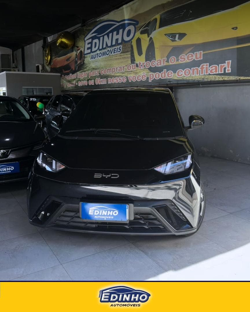 BYD DOLPHIN MINI GS EV 2025 foto 1