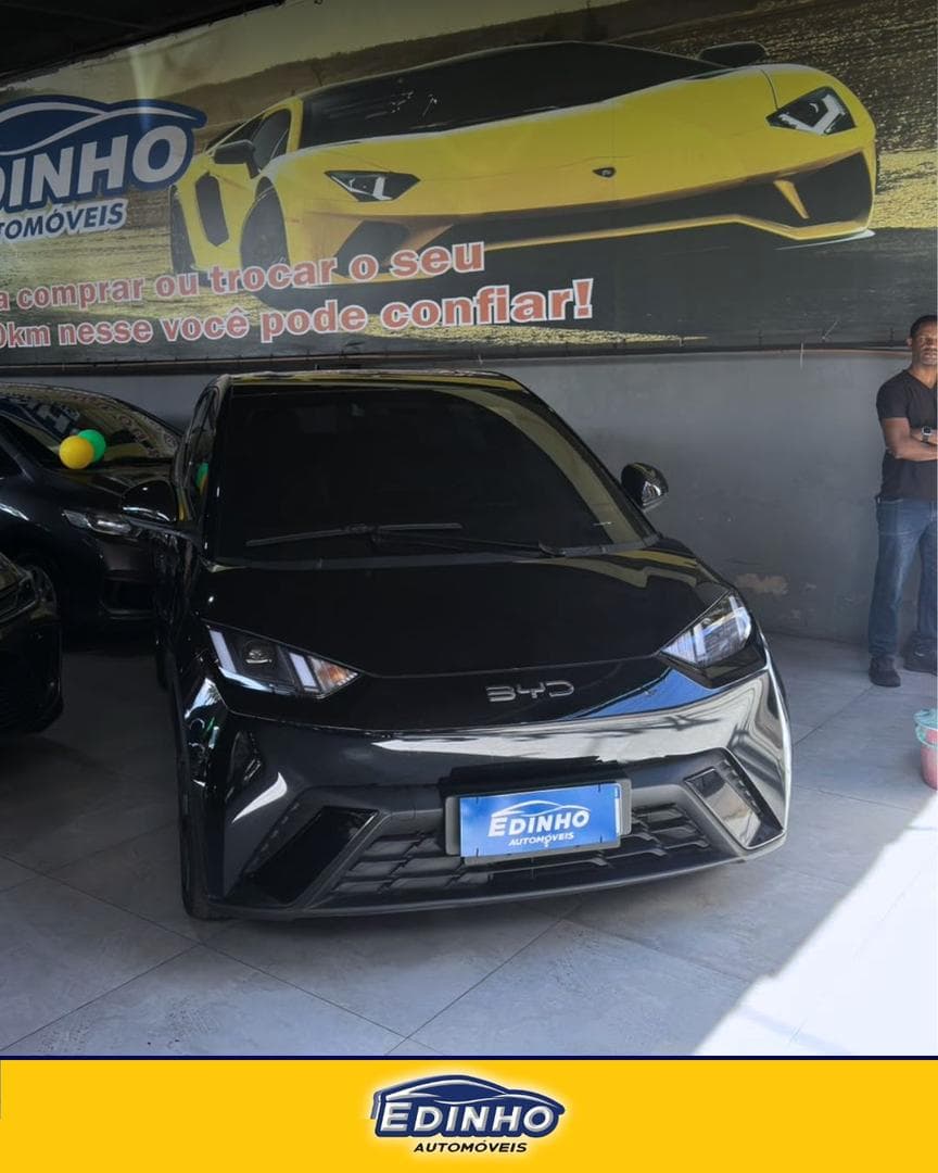 BYD DOLPHIN MINI GS EV 2025 foto 3